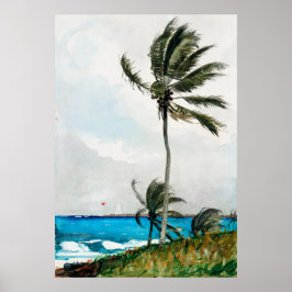 Póster Palmeras de Homero, Nassau