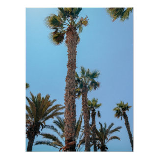 Póster Palmeras de verano