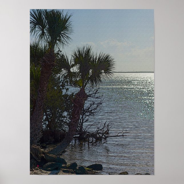 Póster Palmeras del río Banana (Frente)