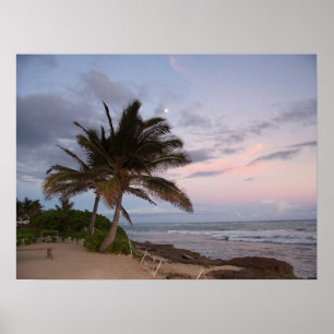 Póster Palmeras en el paraíso