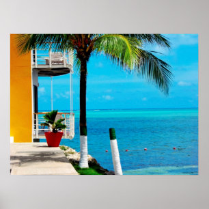 Póster Palmeras En La Parte Delantera De Una Casa Junto A