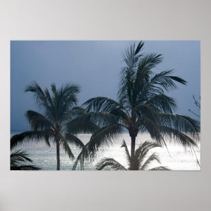 Póster Palmeras en la playa