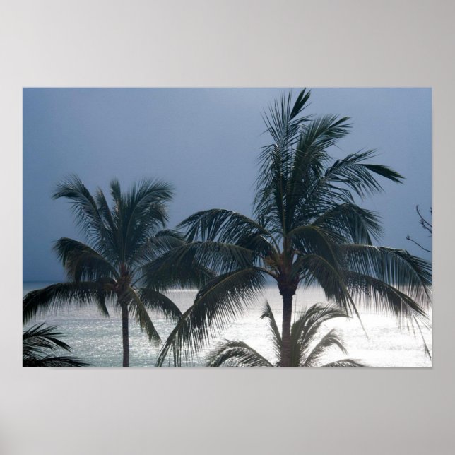 Póster Palmeras En La Playa (Frente)