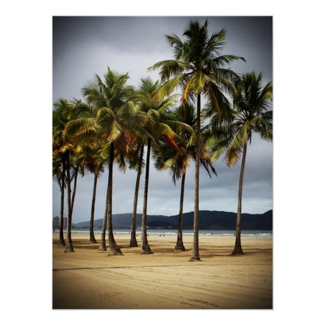 Póster Palmeras en la playa Gonzaga, Santos, Brasil (Anverso)