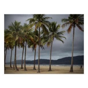 Póster Palmeras en la playa Gonzaga, Santos, Brasil