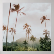 Palmeras mortales polvorientas en Oahu, Hawaii