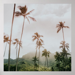 Póster Palmeras mortales polvorientas en Oahu, Hawaii
