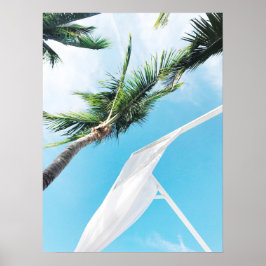 Póster Palmeras Tropicales Bajo La Fotografía Del Cielo A