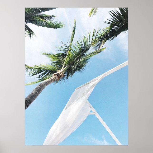 Póster Palmeras Tropicales Bajo La Fotografía Del Cielo A (Frente)