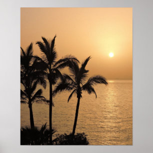 Póster Palmeras y atardecer romántico