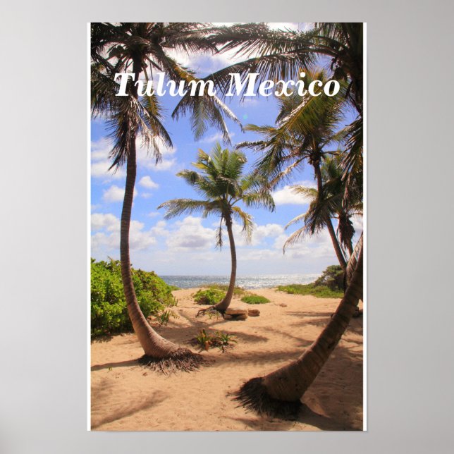 Póster Palmeras y el Mar Caribe Tulum México Poster (Frente)