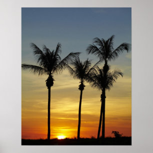 Póster Palmeras y puesta de sol, playa de Mindil