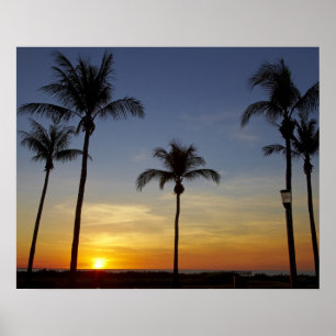 Póster Palmeras y puesta de sol, playa de Mindil