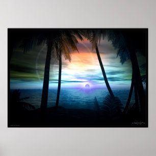Póster Palms