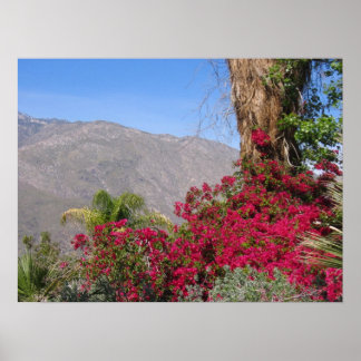 Póster PalmSprings (4)