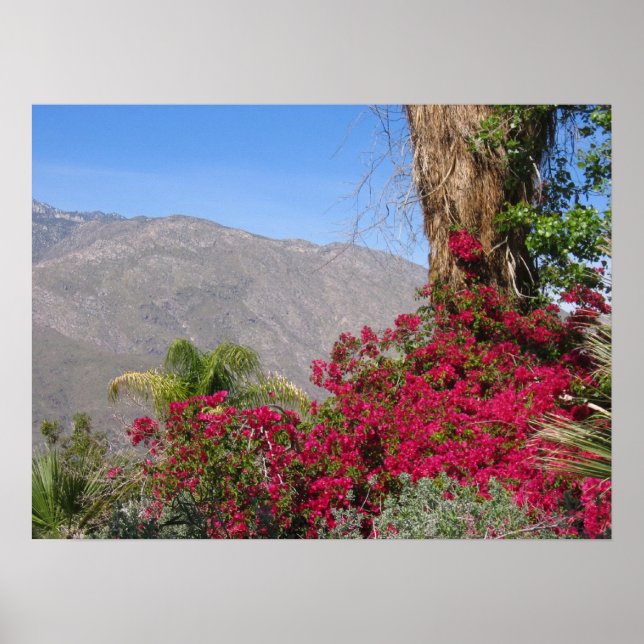 Póster PalmSprings (4) (Frente)