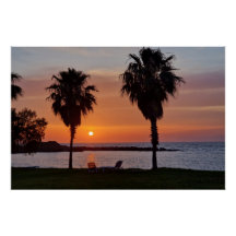 Palmtree sunset
