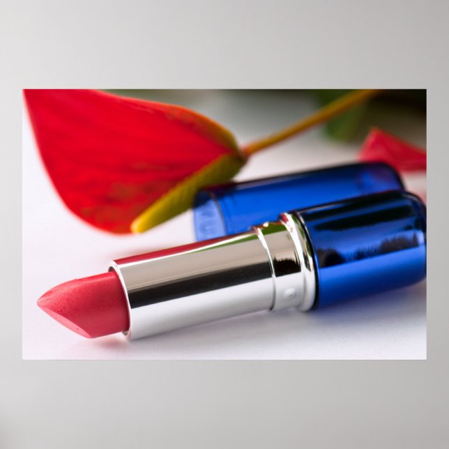 Póster Palo de labios (Frente)