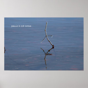 Póster Palo en el agua