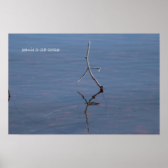 Póster Palo en el agua (Frente)