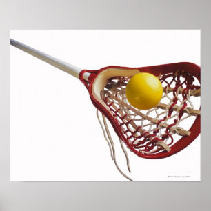 Póster Palo y bola de lacrosse