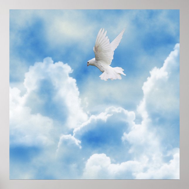 Póster Paloma blanca en el cielo (Frente)