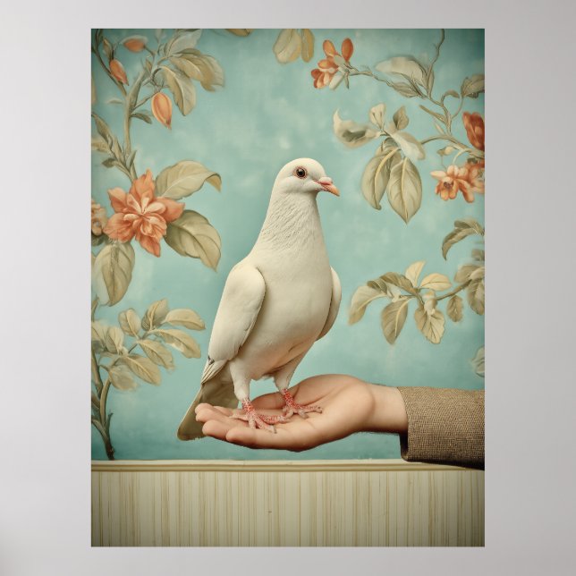 Póster Paloma Blanca Pacífica (Frente)