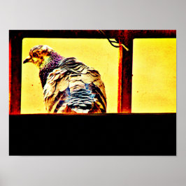 Póster Paloma colorida