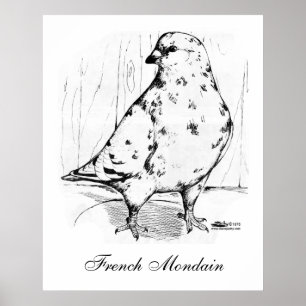 Póster Paloma francesa Mondain 1978