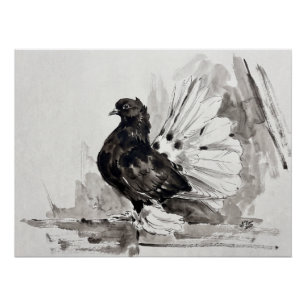 Póster Paloma Indian Fantail Eyeliner Gallina