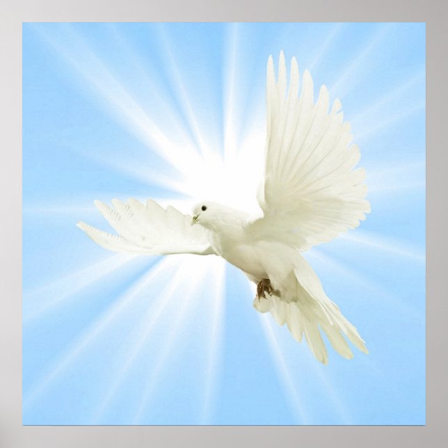 Póster Paloma voladora (Frente)