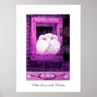 PALOMAS BLANCAS EN LA VENTANA, rosa violeta púrpur