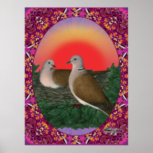 Póster Palomas enmarcadas