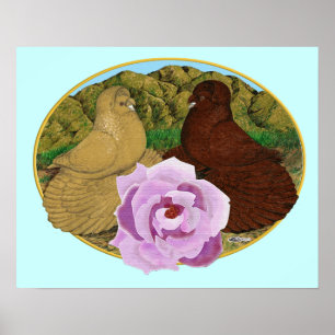 Póster Palomas trompeteras y rosa