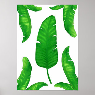 Póster Palomas tropicales de plátano hojas de agua A4 imp