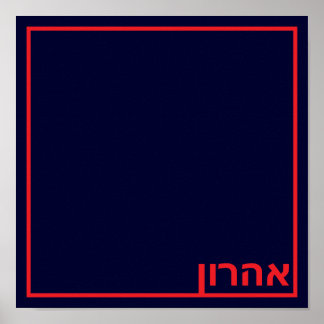 Póster Palometa de fiesta de la marina