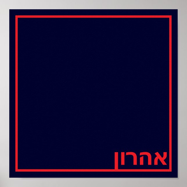 Póster Palometa de fiesta de la marina (Frente)