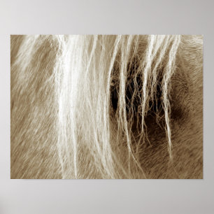 Póster Palomino En Sepia