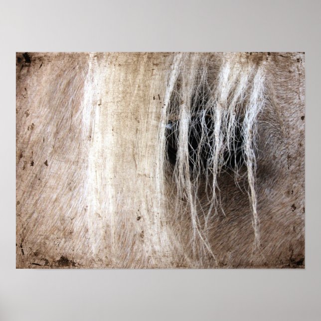 Póster Palomino Horse Grunge (Frente)