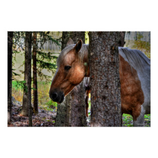 Póster Palomino Paint Stallion & Forest Equine Photo