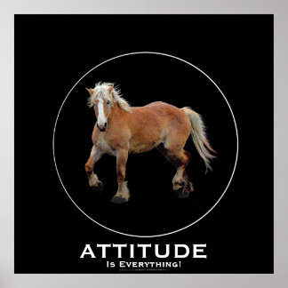 Póster Palomino Poster belga de profesión de caballo