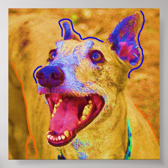 Póster Palu (Frente)