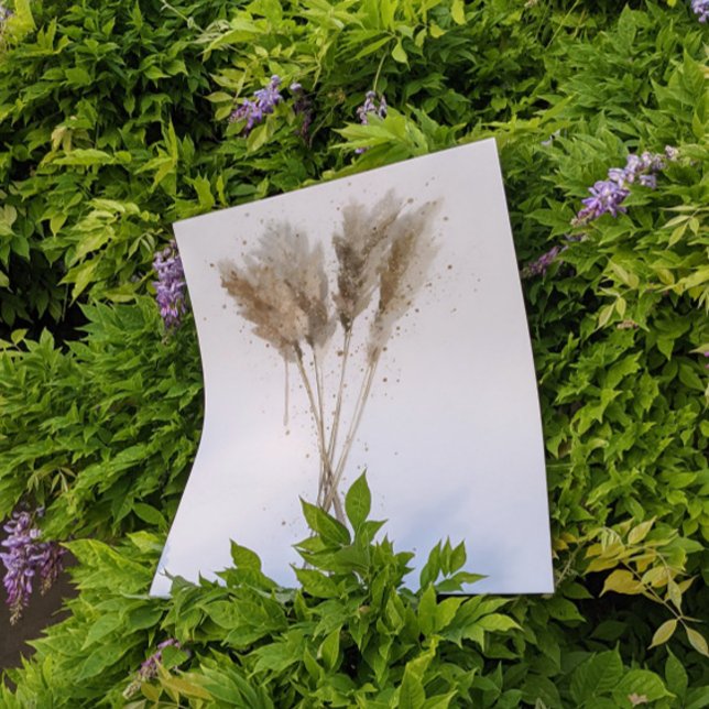 Póster Pampas Grass (Subido por el creador)