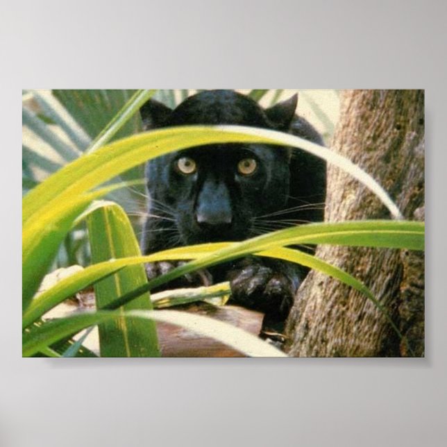 Póster panadería (Frente)