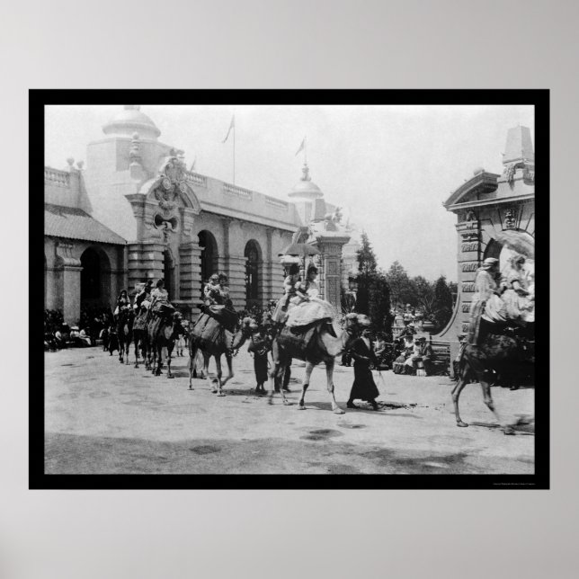 Póster Panam Expo Camel Parade 1901 (Frente)
