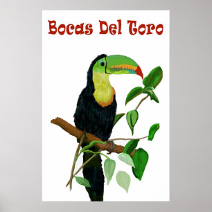 Póster Panamas coloridos y tropicales Poster Toucan.
