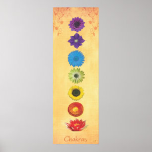 Póster Pancarta de Seven Chakras
