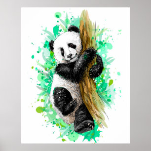 Póster Panda Bear