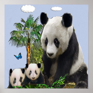 Póster Panda bear designs