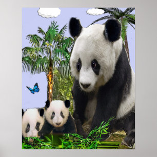Póster Panda Bears